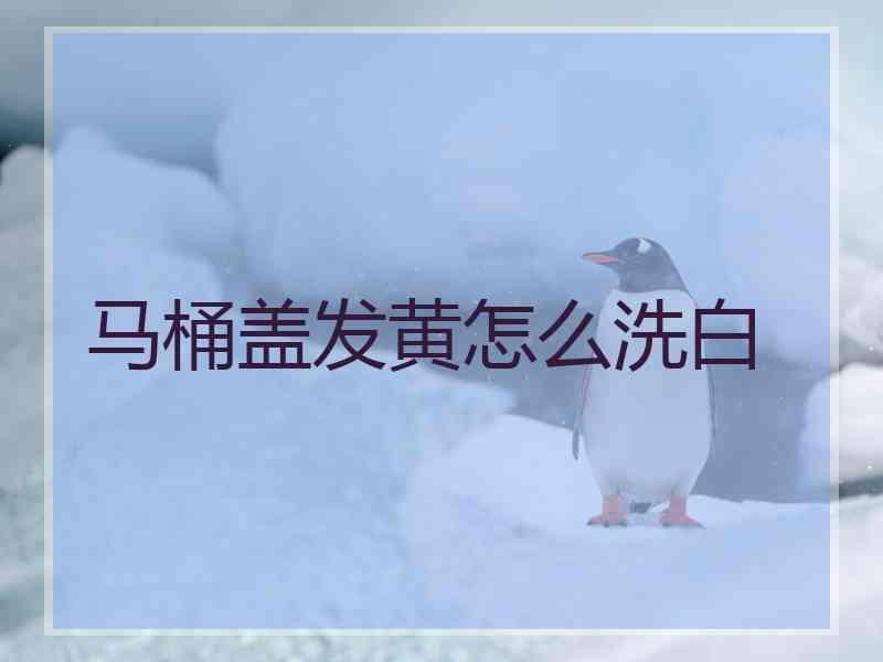 马桶盖发黄怎么洗白