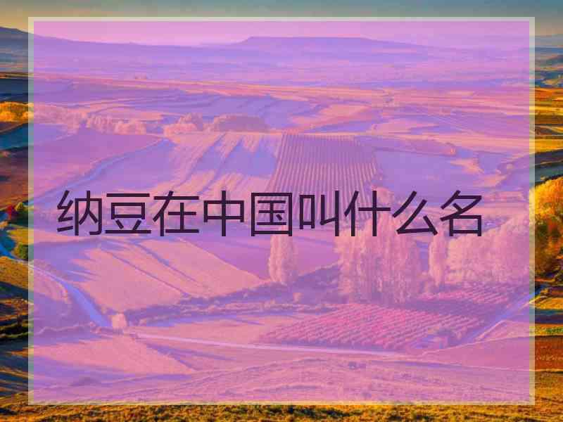 纳豆在中国叫什么名