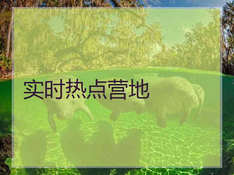 实时热点营地