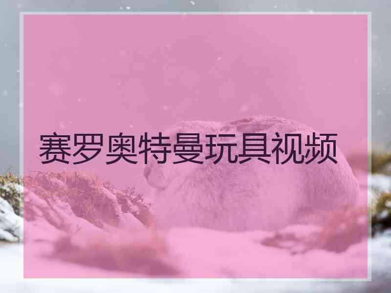 赛罗奥特曼玩具视频
