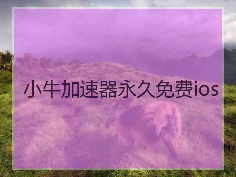 小牛加速器永久免费ios