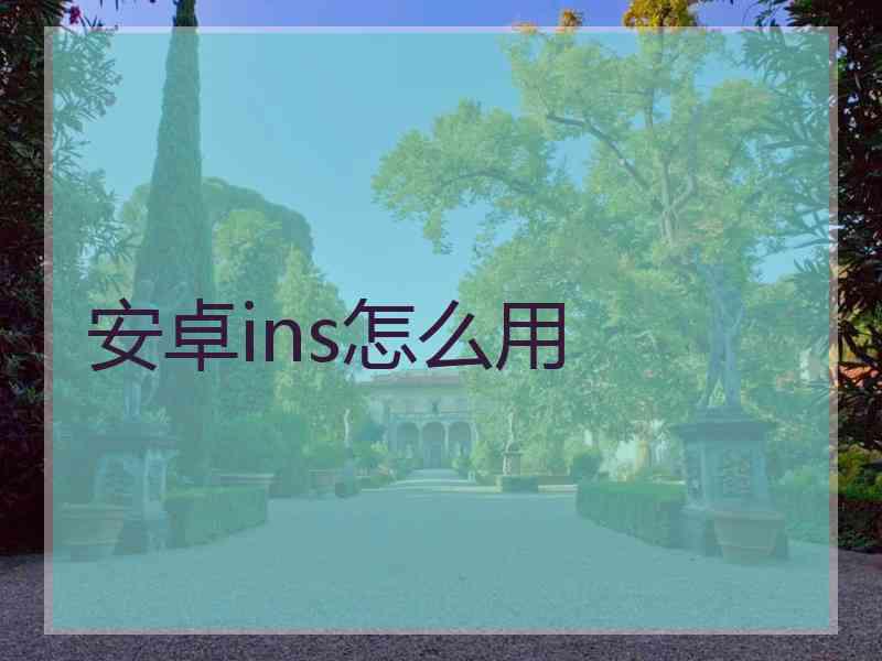 安卓ins怎么用