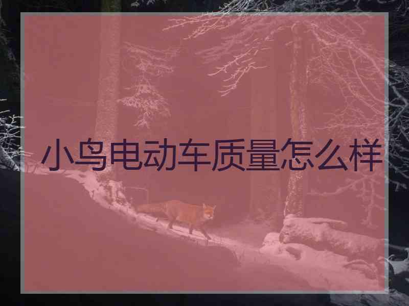 小鸟电动车质量怎么样