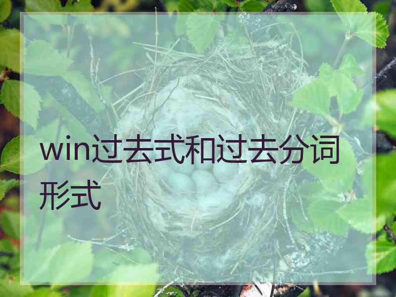 win过去式和过去分词形式