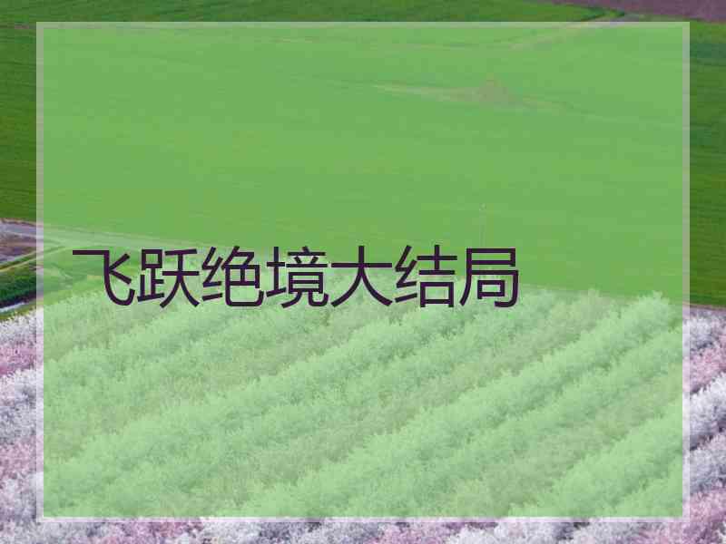飞跃绝境大结局