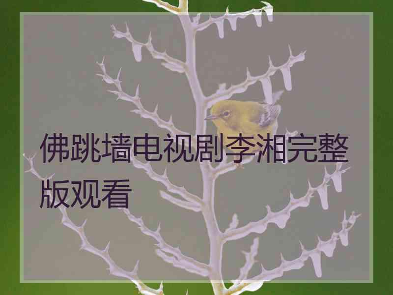 佛跳墙电视剧李湘完整版观看