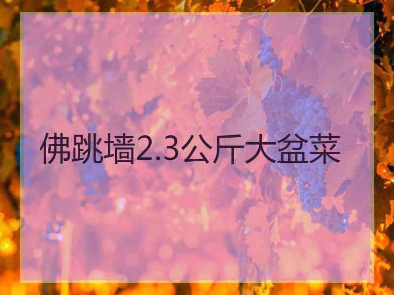 佛跳墙2.3公斤大盆菜