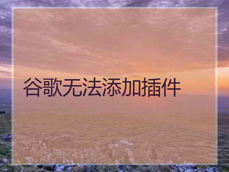 谷歌无法添加插件