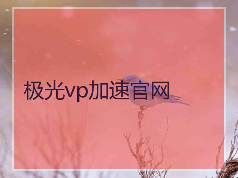极光vp加速官网