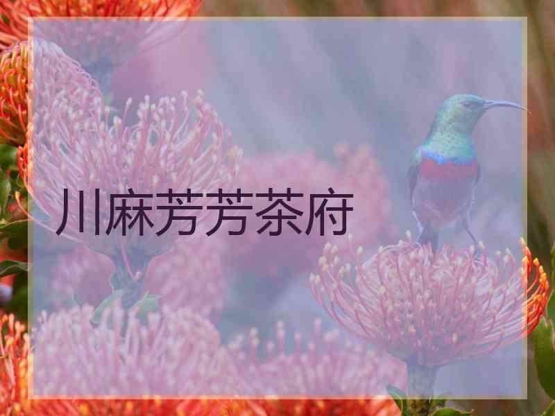 川麻芳芳茶府