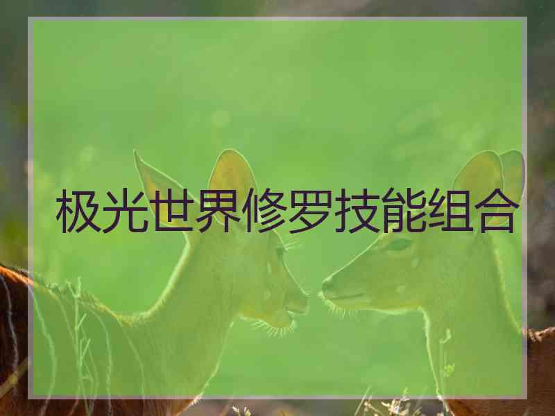极光世界修罗技能组合