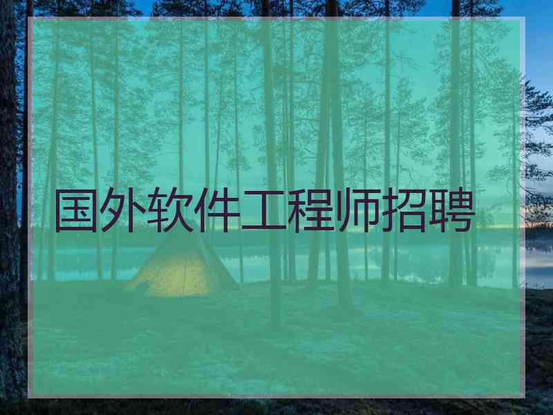 国外软件工程师招聘