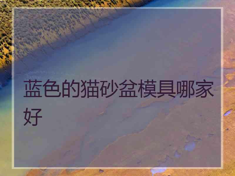 蓝色的猫砂盆模具哪家好
