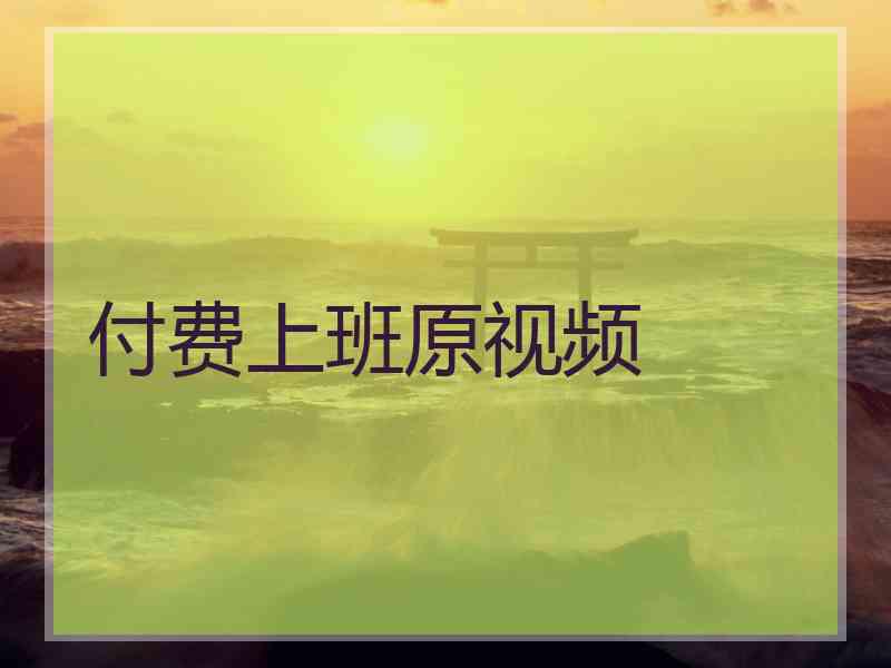 付费上班原视频