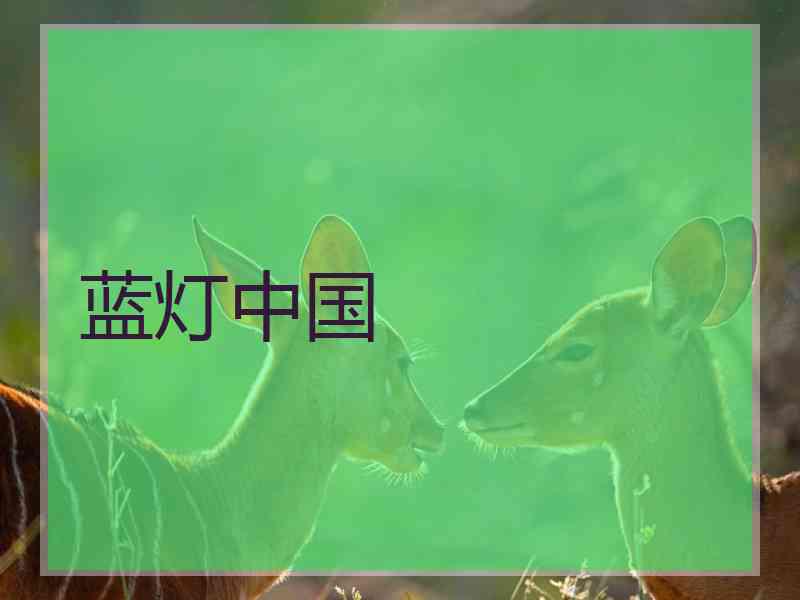 蓝灯中国
