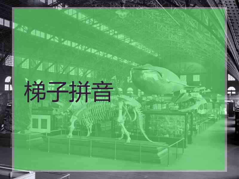 梯子拼音