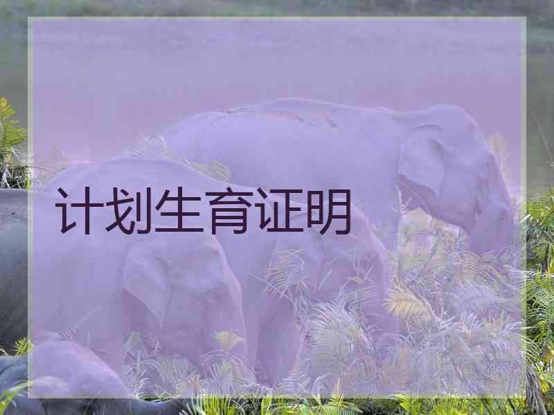 计划生育证明