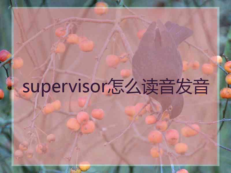 supervisor怎么读音发音