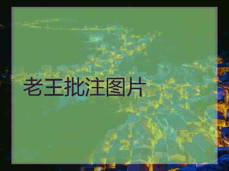老王批注图片