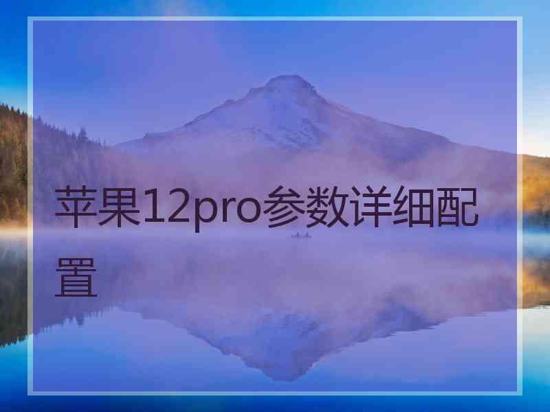苹果12pro参数详细配置