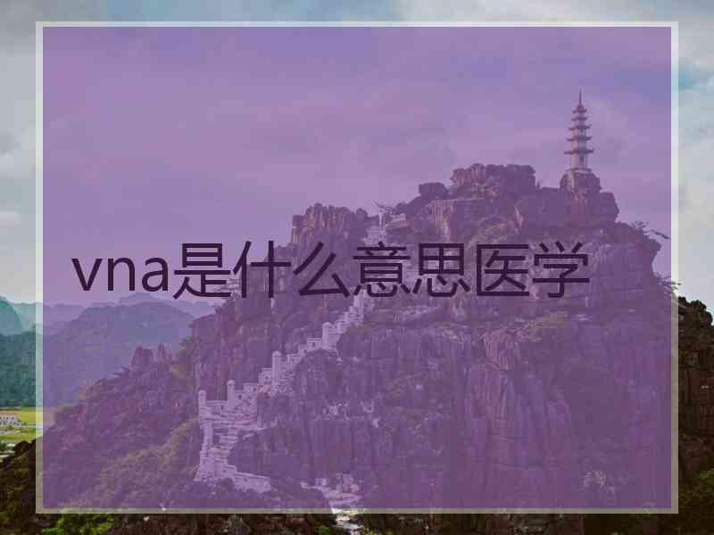 vna是什么意思医学