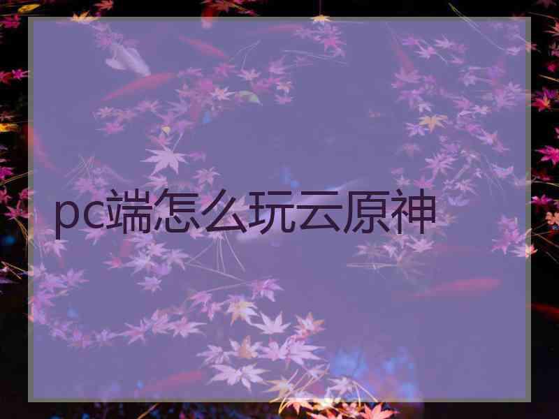 pc端怎么玩云原神