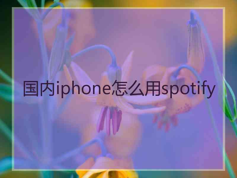 国内iphone怎么用spotify