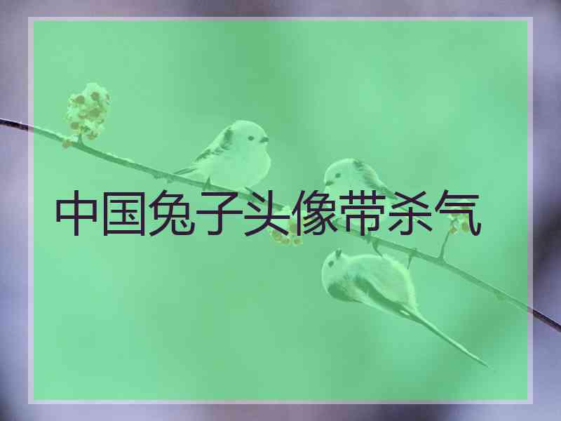 中国兔子头像带杀气