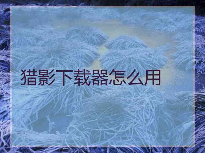 猎影下载器怎么用