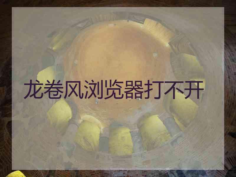 龙卷风浏览器打不开