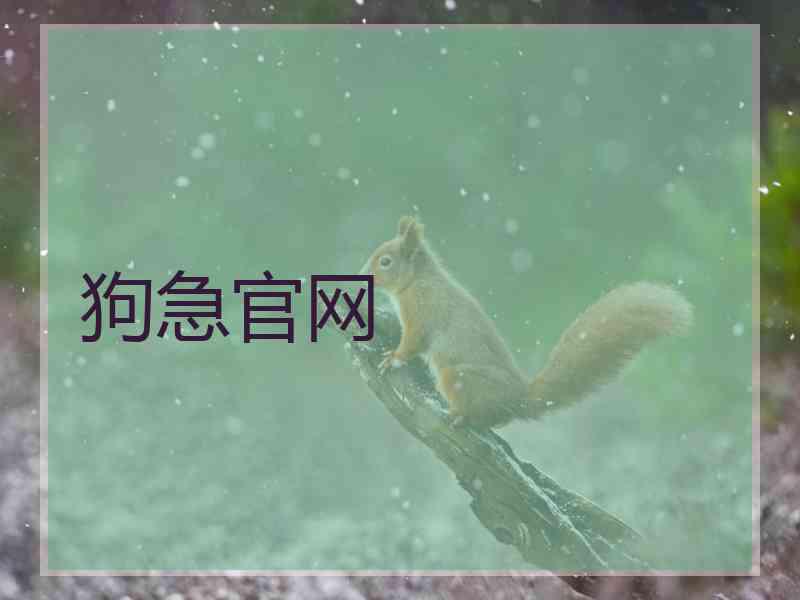 狗急官网