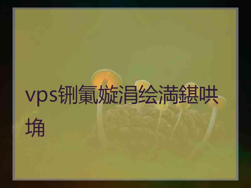 vps铏氭嫙涓绘満鍖哄埆