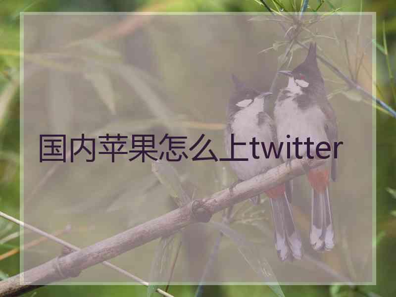 国内苹果怎么上twitter