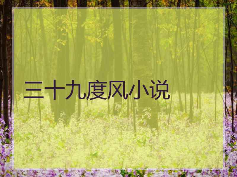 三十九度风小说