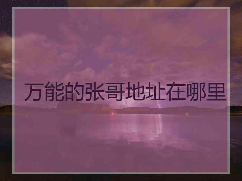 万能的张哥地址在哪里