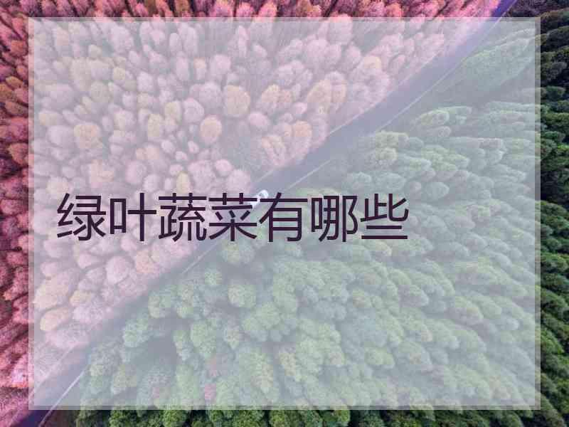 绿叶蔬菜有哪些