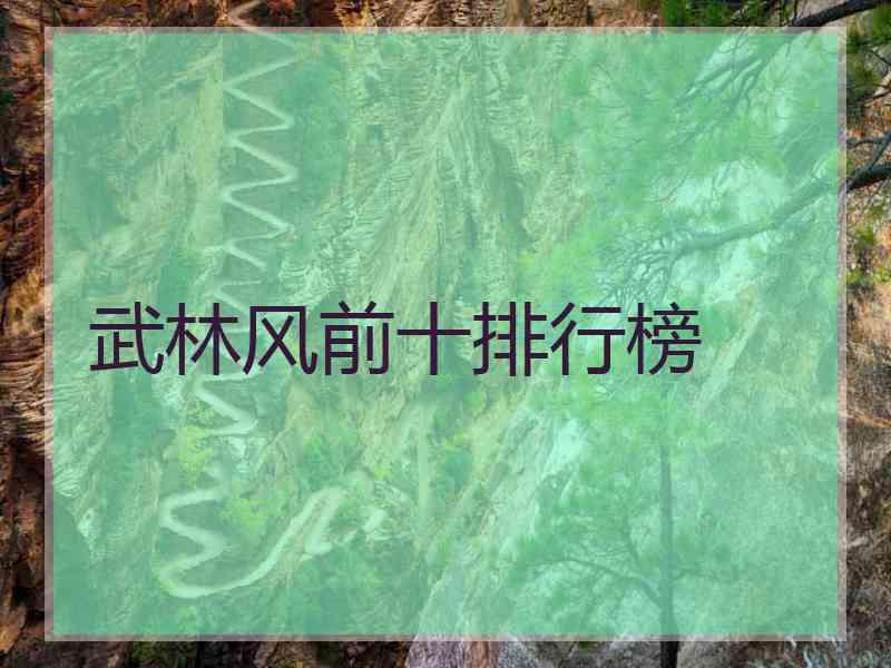 武林风前十排行榜