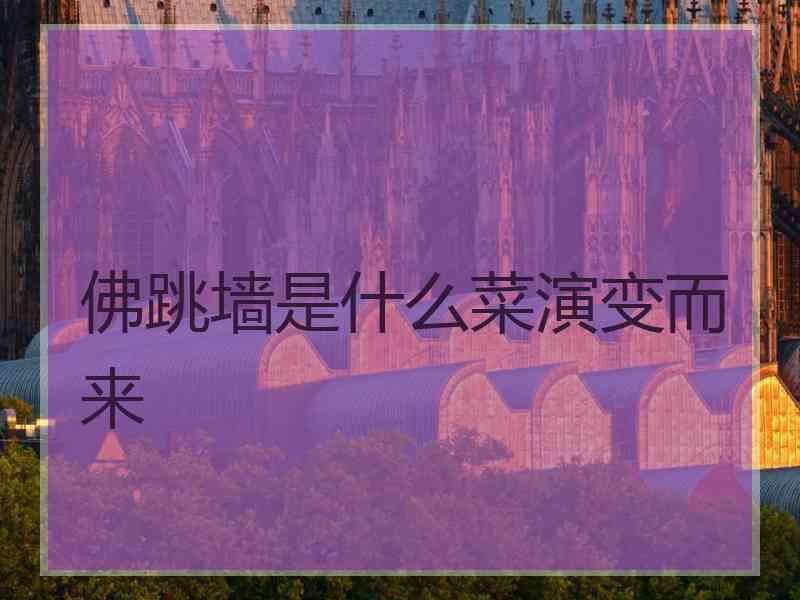 佛跳墙是什么菜演变而来