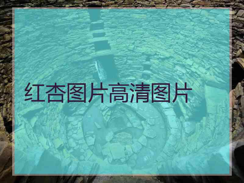 红杏图片高清图片