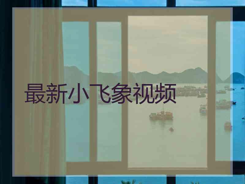 最新小飞象视频