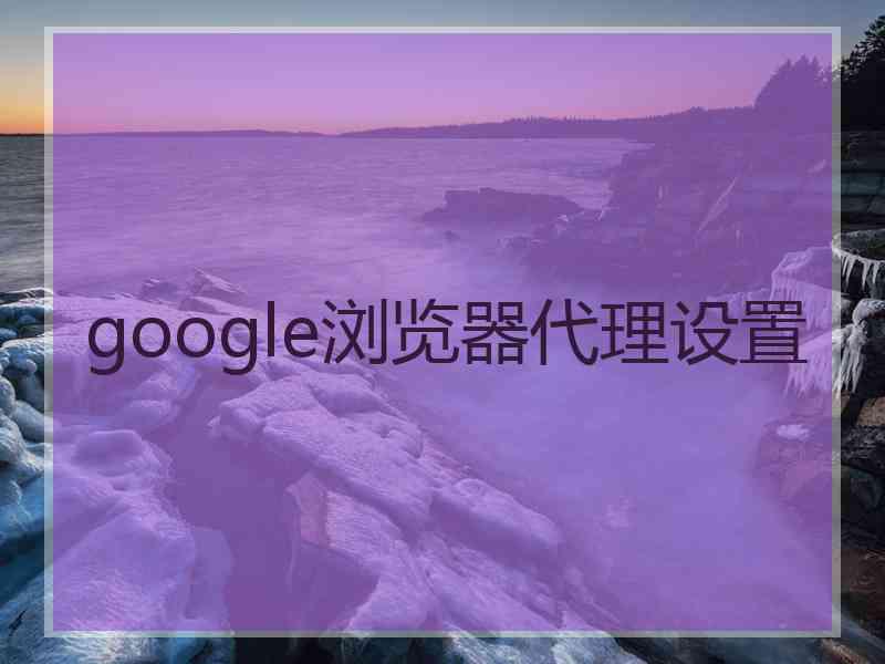 google浏览器代理设置