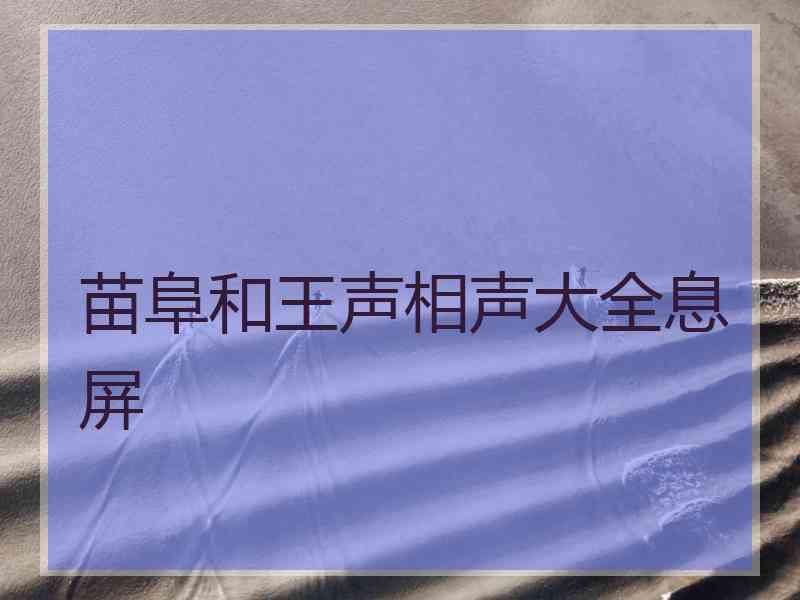 苗阜和王声相声大全息屏