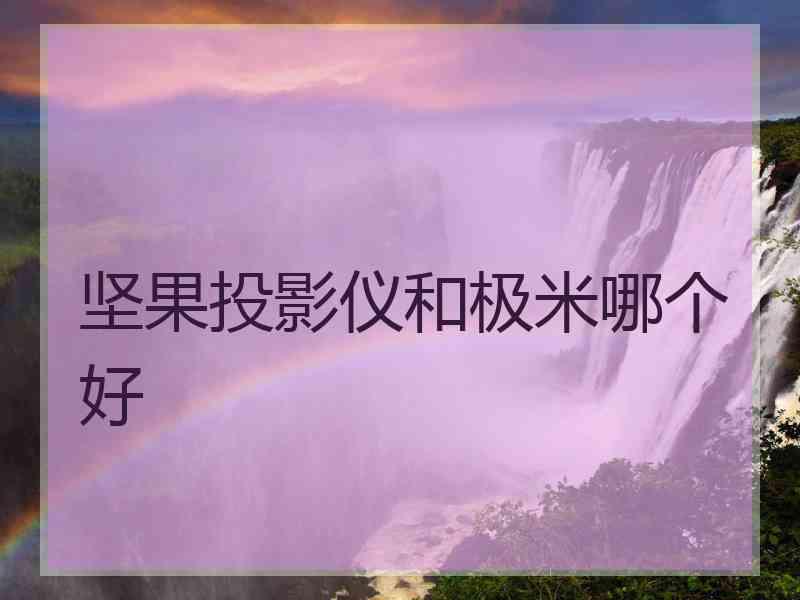 坚果投影仪和极米哪个好