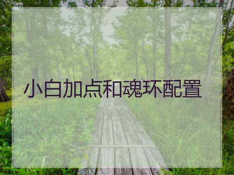 小白加点和魂环配置