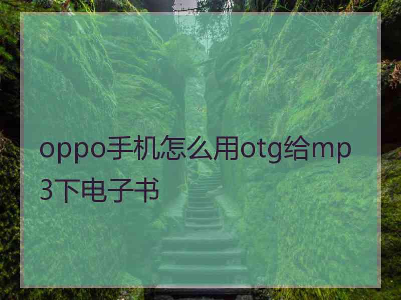 oppo手机怎么用otg给mp3下电子书
