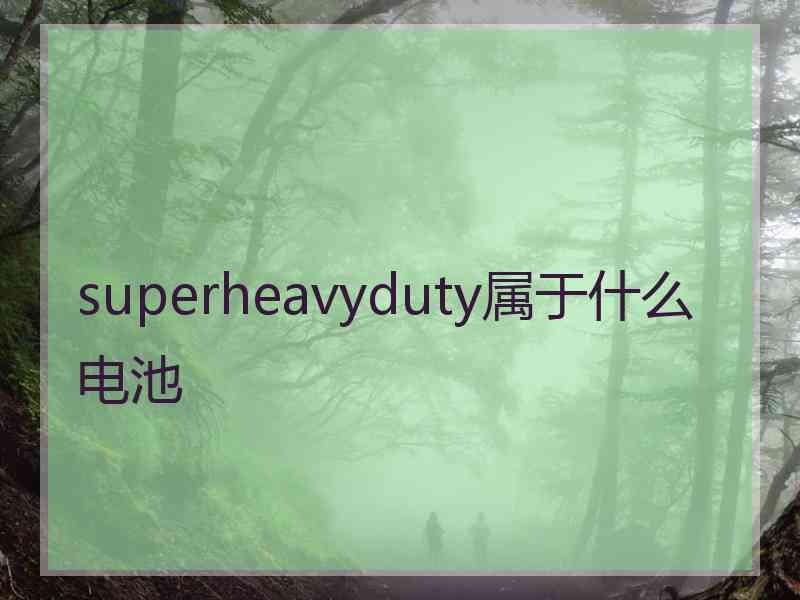 superheavyduty属于什么电池