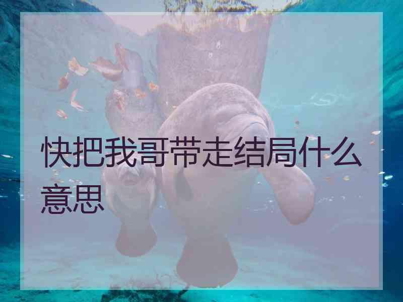 快把我哥带走结局什么意思