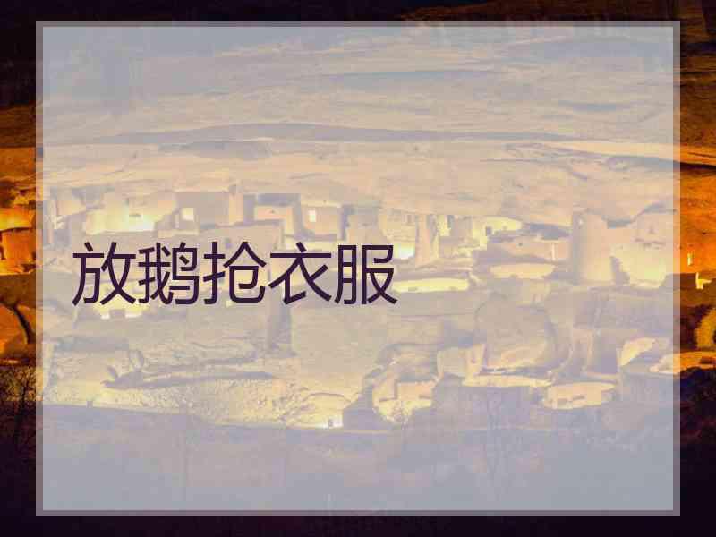 放鹅抢衣服