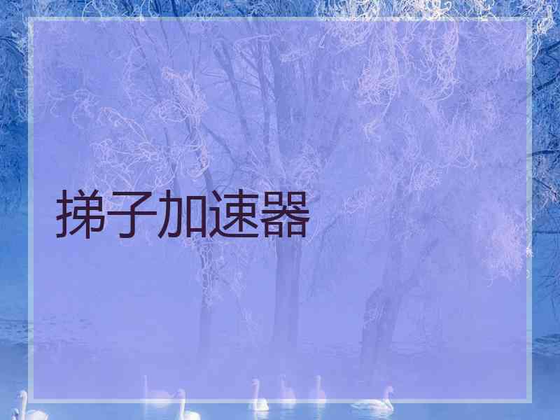 挮子加速器