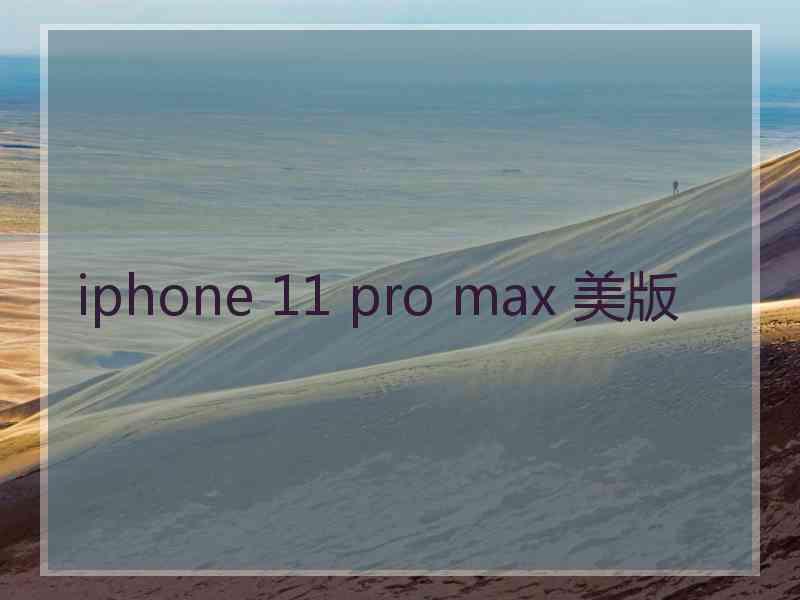 iphone 11 pro max 美版